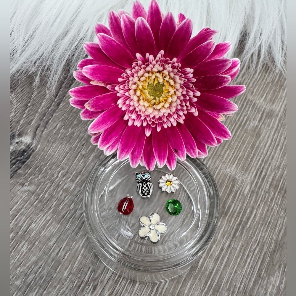 🌼 Origami Owl 5 Charms…Ladybug, 2 Flowers, Green Crystal & Owl with Crystal Eyes